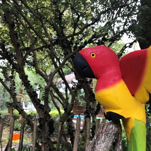 Artesanías del Lugar
