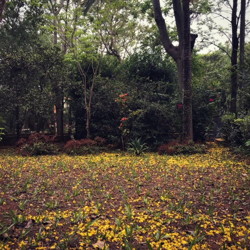 Naturaleza del Lugar